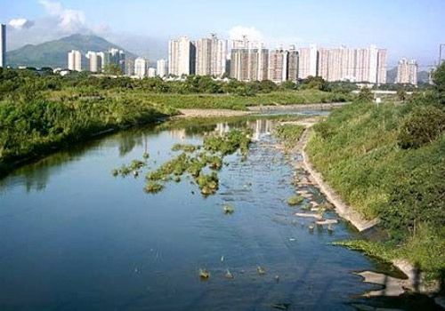 香港荃湾高楼林立中的隐藏庙宇