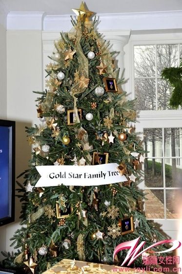 “家族金星”圣诞树，以此纪念为国捐躯的美国军人