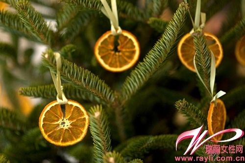干橙片也出现在第一家庭的圣诞装饰中
