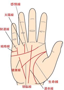 太阳线看你一生财富