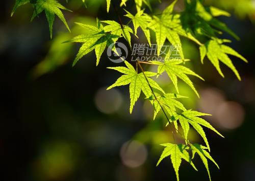 尽量在太阳出来后半个小时左右在进行运动